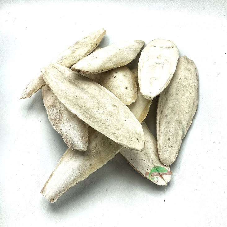 Reptiscape - Cuttlebone –10 pack Reptiscape - Cuttlebone –10 pack