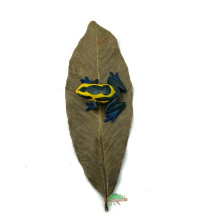 Reptiscape - Ketakera Leaves