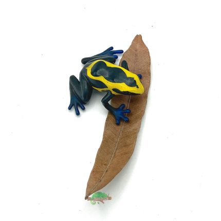 Reptiscape - Thika Palm Leaves