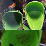 Tad Pool –Bright Green Cup Set  Suction