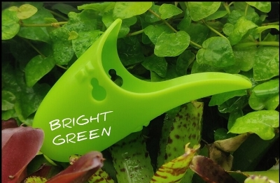 Tad Pool –Bright Green Cup Set  Suction