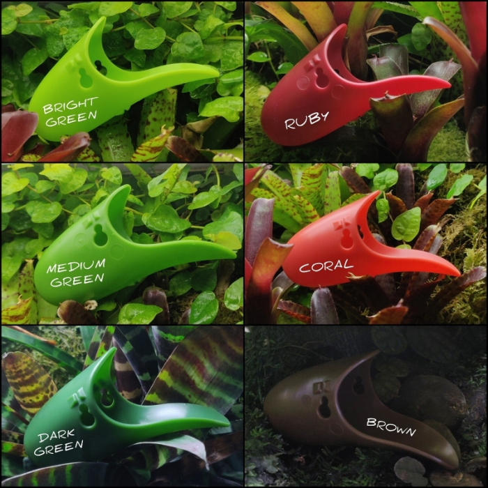 Tad Pool –Dark Green Cup Set  Suction