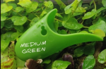 Tad Pool –Medium Green Cup Set  Suction