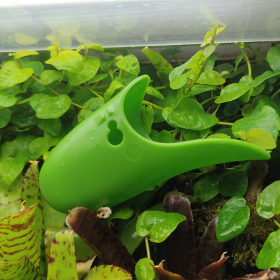 Tad Pool –Medium Green Cup Set  Suction