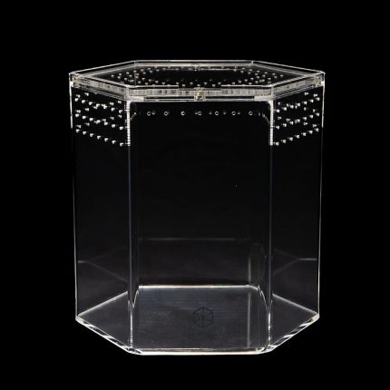 Tarantula Cribs - 8" Hex Crib 8"x 8"x 8"