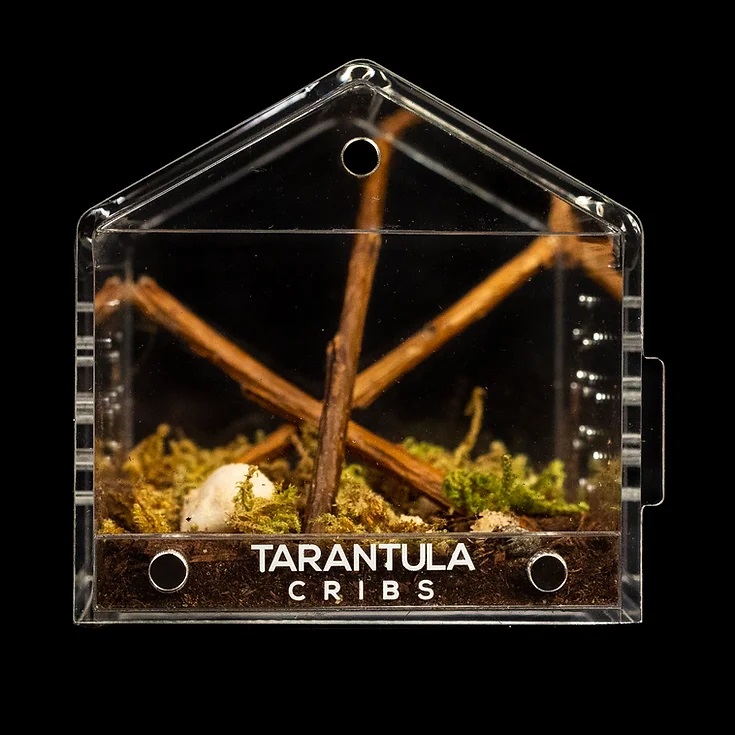 Tarantula Cribs - Canopy Mini 3" Tarantula Cribs - Canopy Mini 3"