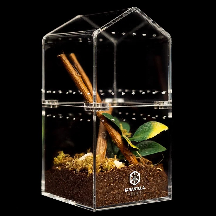 Tarantula Cribs - Canopy- Understory 3x3x6 Tarantula Cribs - Canopy- Understory 3x3x6