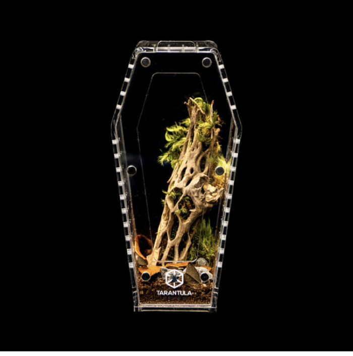 Tarantula Cribs - Coffin mini 6''x3''x3'' Tarantula Cribs - Coffin mini 6''x3''x3''