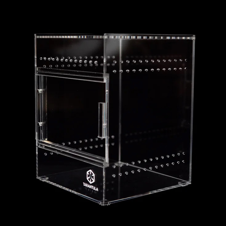 Tarantula Cribs - Medium Treehouse Switch- Clear Back - 6''x6''x8''  Tarantula Cribs - Medium Treehouse Switch- Clear Back - 6''x6''x8''