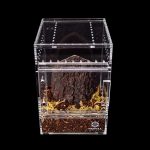 Tarantula Cribs - Medium Treehouse Switch- Clear Back - 6''x6''x8''