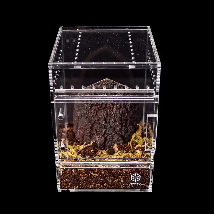 Tarantula Cribs - Medium Treehouse Switch- Clear Back - 6''x6''x8''  Tarantula Cribs - Medium Treehouse Switch- Clear Back - 6''x6''x8''