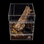 Tarantula Cribs - Medium Treehouse Switch- Clear Back - 6''x6''x8''