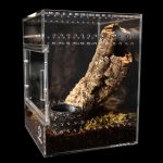 Tarantula Cribs - Medium Treehouse Switch- Clear Back - 6''x6''x8''