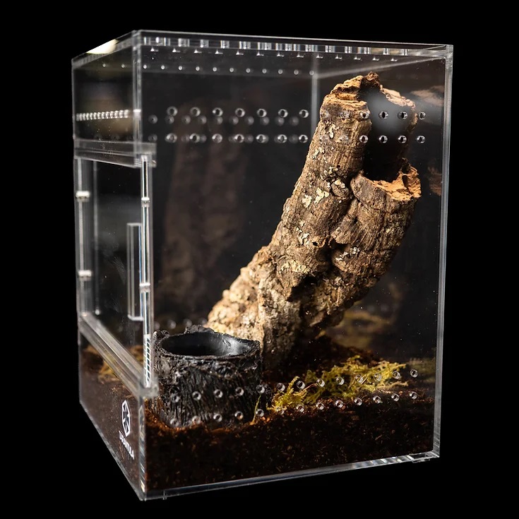Tarantula Cribs - Medium Treehouse Switch- Clear Back - 6''x6''x8''  Tarantula Cribs - Medium Treehouse Switch- Clear Back - 6''x6''x8''