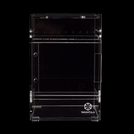 Tarantula Cribs - Small Treehouse Switch- Clear Back