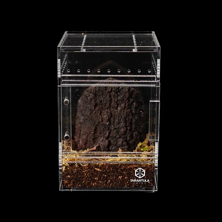 Tarantula Cribs - Small Treehouse Switch- Clear Back Tarantula Cribs - Small Treehouse Switch- Clear Back