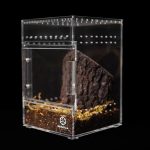 Tarantula Cribs - Small Treehouse Switch- Clear Back