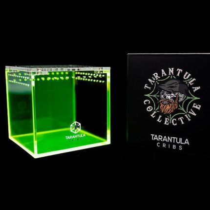 Tarantula Cribs - 3"x3"x3" Cube Tarantula Collective Special