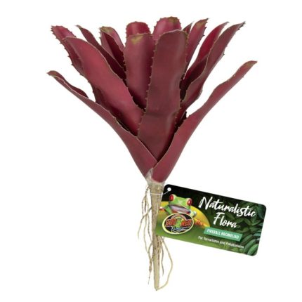 Zoomed Naturalistic Flora  - Bromeliad Fireball