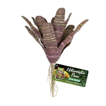 Zoomed Naturalistic Flora  - Chestnut Bromelaid