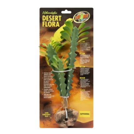 Zoomed Desert Flora – Euphorbia
