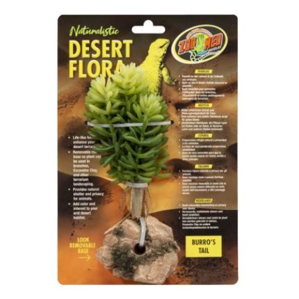 Zoomed Desert Flora – Burro's Tail
