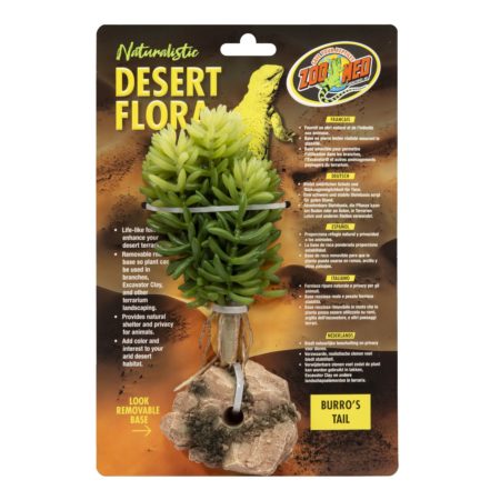 Zoomed Desert Flora – Burro's Tail Zoomed Desert Flora – Burro's Tail