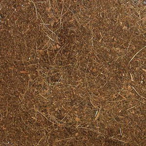 Zoomed - ECO Earth - One Brick