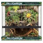 Zoomed Paludarium