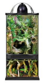 Zoomed Terraeffects - nano - 8w Model 2