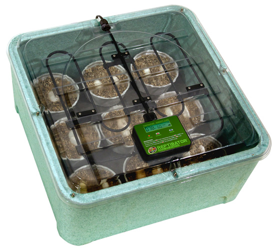Zoomed - Couveuse numérique Reptibator Zoomed - Reptibator Digital Egg Incubator