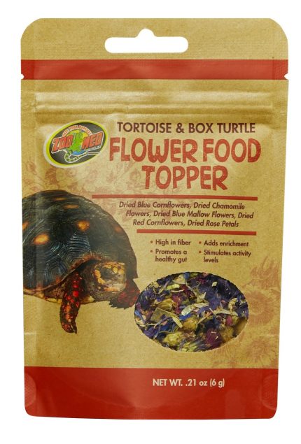 Zoomed Tortoise & Box Turtle Flower Food Topper