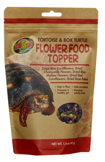 Zoomed Tortoise & Box Turtle Flower Food Topper