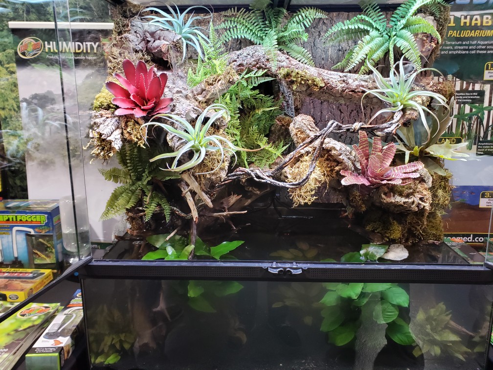 Zoomed Paludarium  Zoomed Paludarium