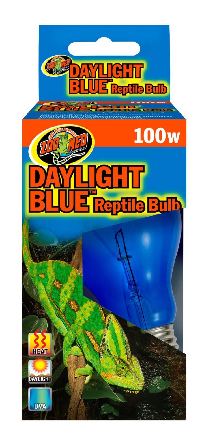 Zoomed - Daylight Blue Bulb