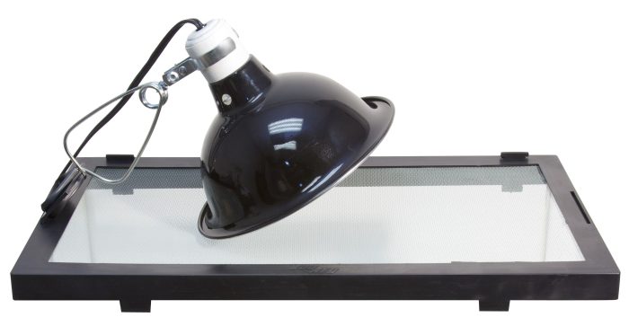 Zoomed Porcelain Clamp Lamp and Deluxe Procelain Brooder Lamp