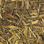 Zoomed - Forest Floor Bedding