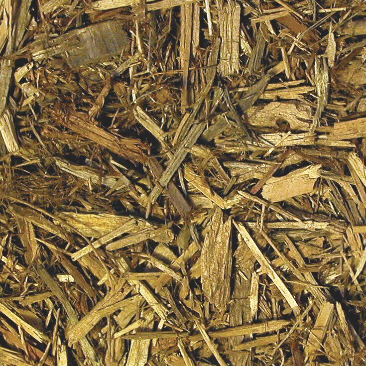 Zoomed - Forest Floor Bedding Zoomed - Forest Floor Bedding