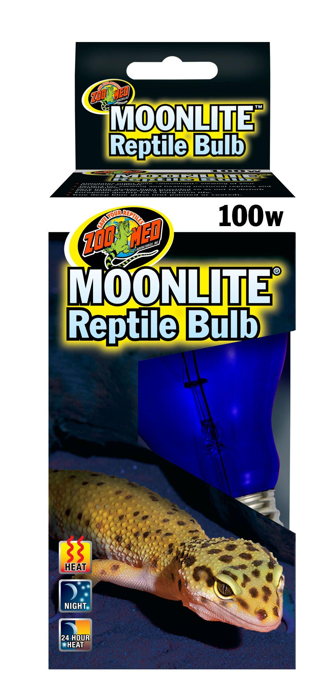 Zoomed Moonlite Bulb Zoomed Moonlite Bulb