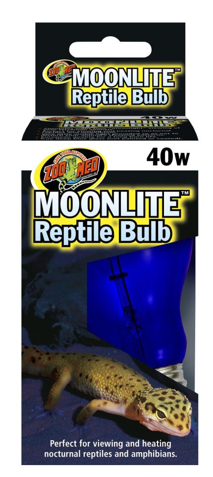 Zoomed Moonlite Bulb