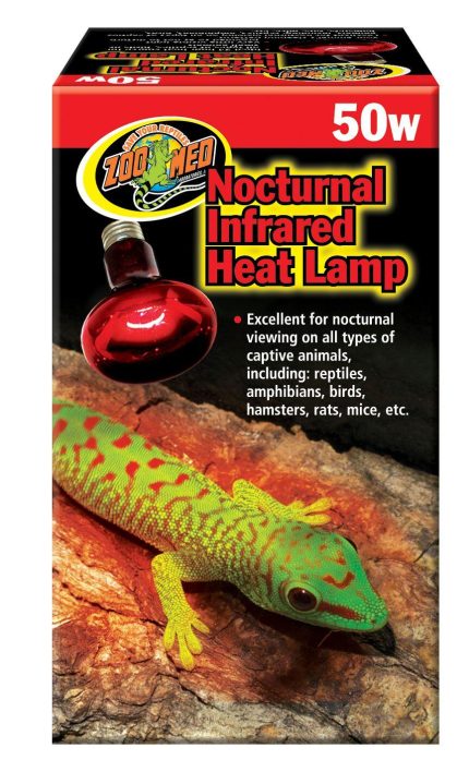 Zoomed Nocturnal Infrared Heat Lamp