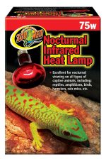 Zoomed Nocturnal Infrared Heat Lamp