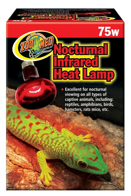 Zoomed Nocturnal Infrared Heat Lamp