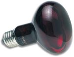 Zoomed Nocturnal Infrared Heat Lamp