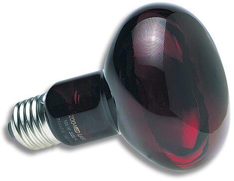 Zoomed Nocturnal Infrared Heat Lamp Zoomed Nocturnal Infrared Heat Lamp