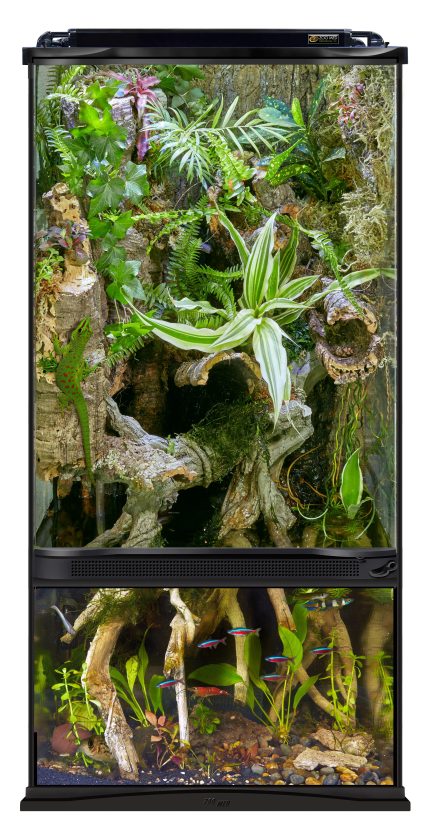 Zoomed Paludarium