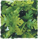 Zoomed Natural Bush Amazonian Phyllo
