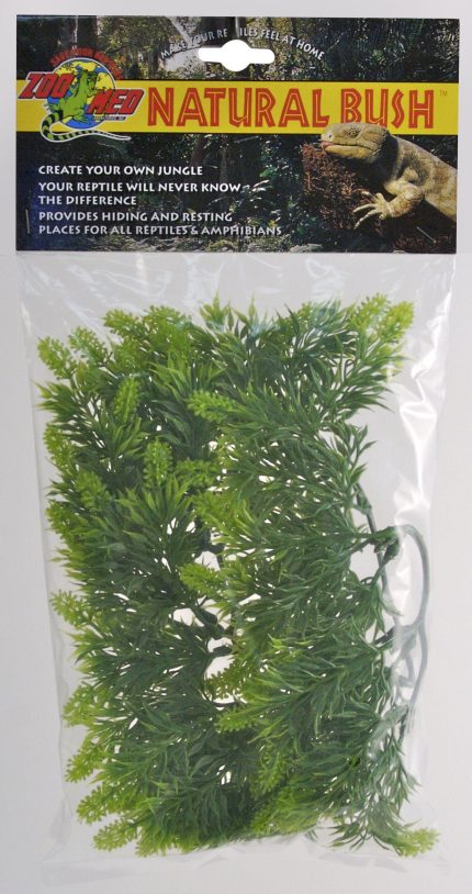 Zoomed Natural Bush Malaysian Fern