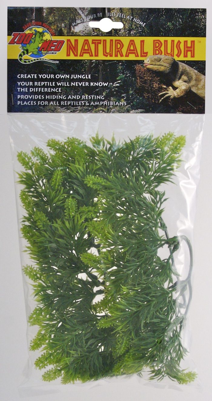 Zoomed Natural Bush Malaysian Fern