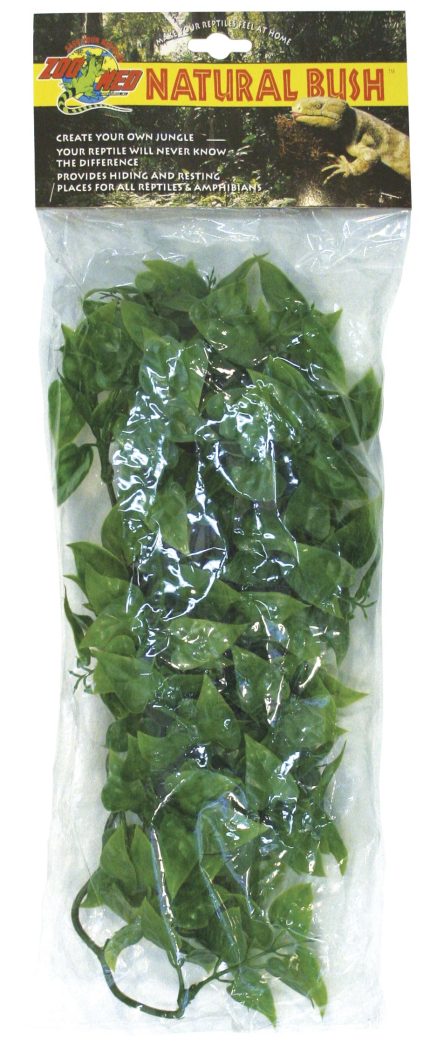 Zoomed Natural Bush Mexican Phyllo